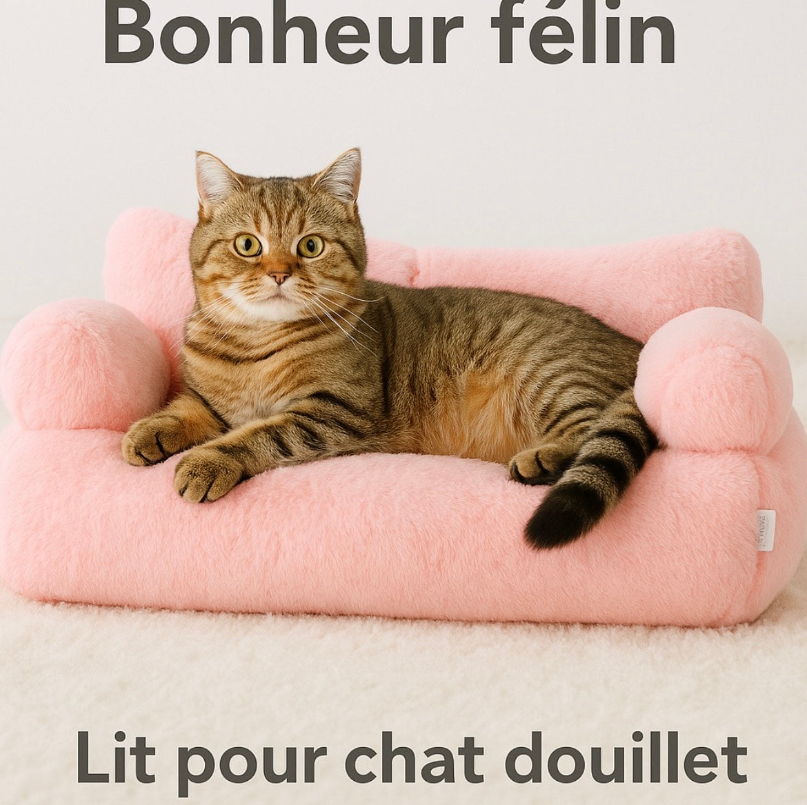 Lit pour chat